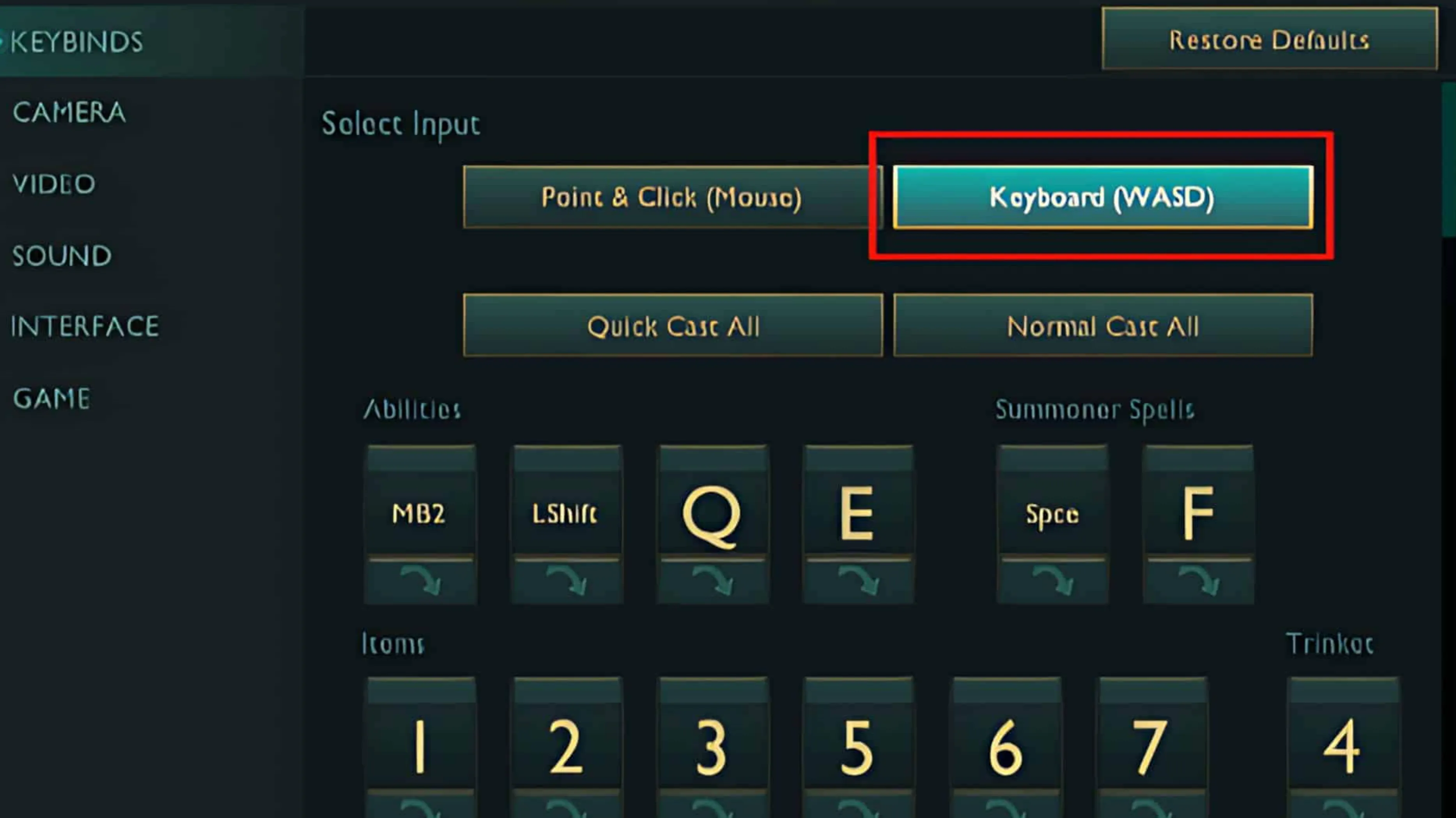How to Enable WASD Camera Controls